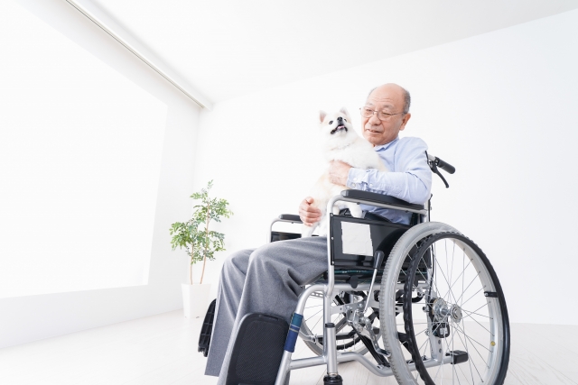ペットと一緒に撮るのもいいですね
